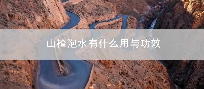 山楂泡水有什么用与功效