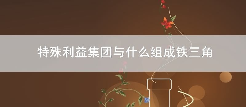 特殊利益集团与什么组成铁三角