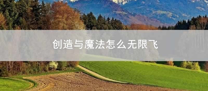 创造与魔法怎么无限飞