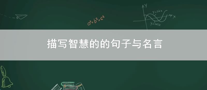 描写智慧的的句子与名言