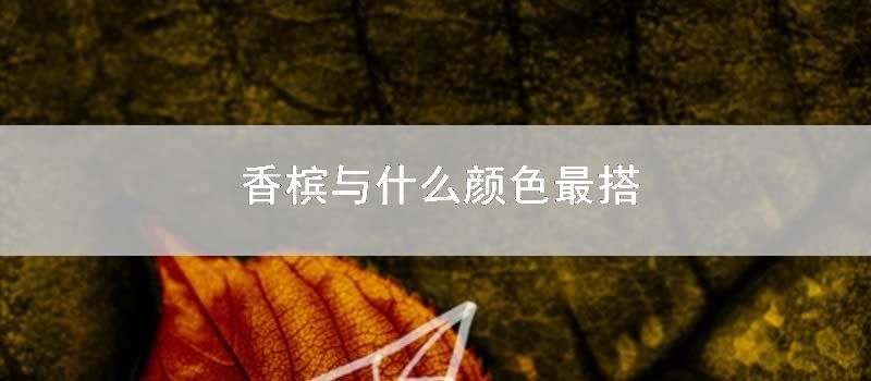 香槟与什么颜色最搭
