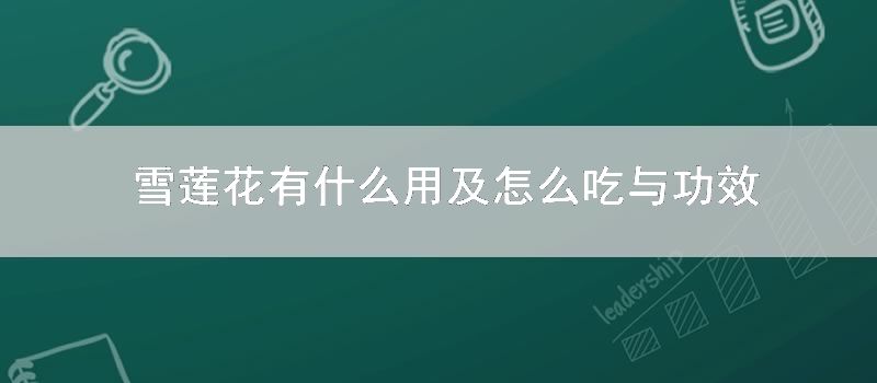 雪莲花有什么用及如何吃与功效