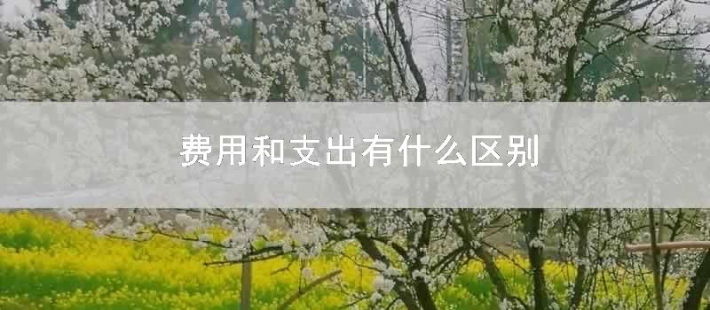 费用和支出有什么区别