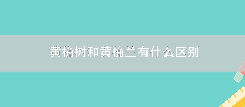 黄桷树和黄桷兰有什么区别