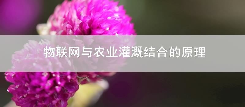 物联网与农业灌溉结合的原理
