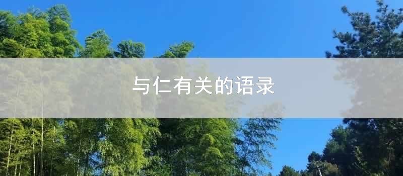 与仁有关的语录