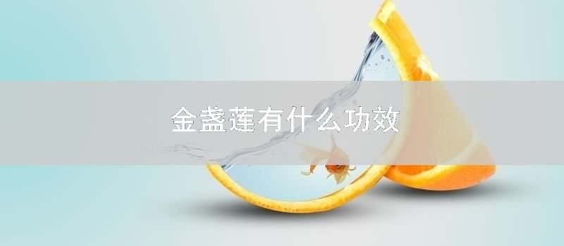 金盏莲有什么功效