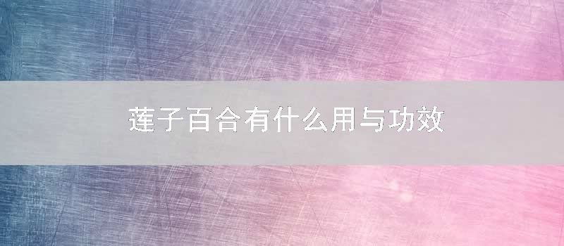 莲子百合有什么用与功效