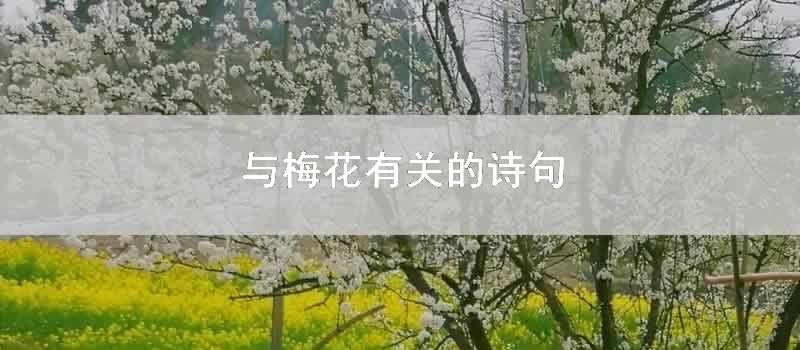 与梅花有关的诗句