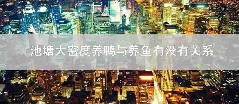 池塘大密度养鸭与养鱼有没有关系