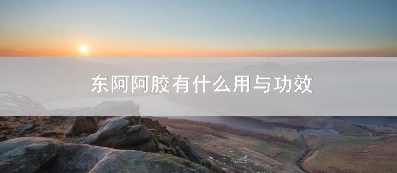 东阿阿胶有什么用与功效