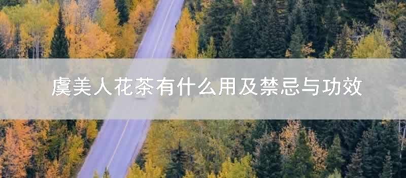 虞美人花茶有什么用及禁忌与功效