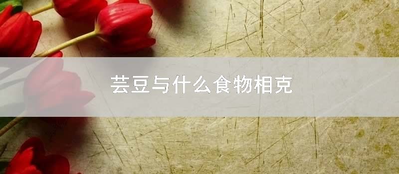 芸豆与什么食物相克