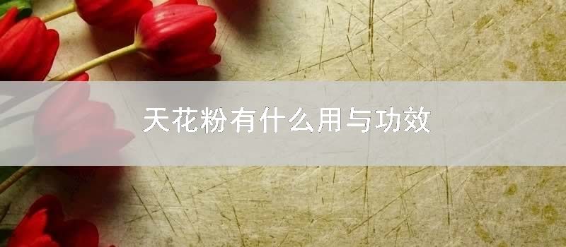 天花粉有什么用与功效