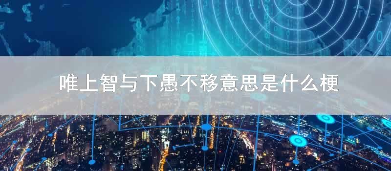 唯上智与下愚不移意思是什么梗