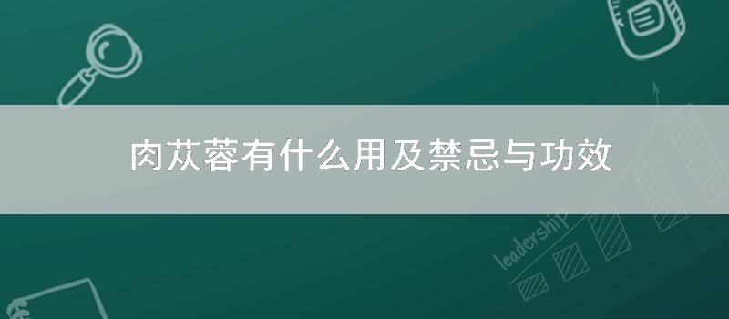 肉苁蓉有什么用及忌讳与功效