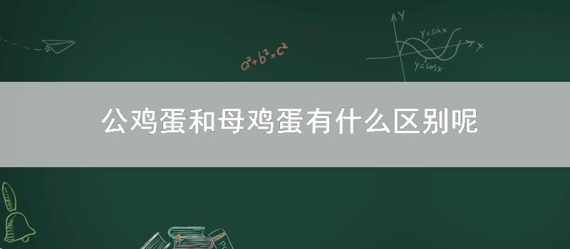 公鸡蛋和母鸡蛋有什么区别呢