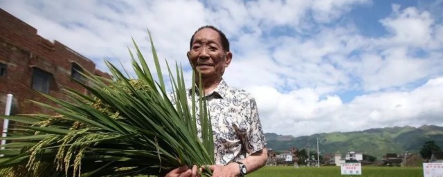 袁隆平是哪里人 袁隆平是什么地方的人