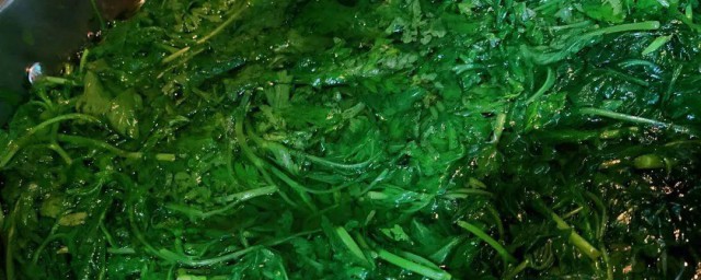把蒿怎么吃 把蒿怎样吃