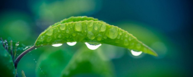 梅雨季节2023什么时间入梅 梅雨季节是什么时候