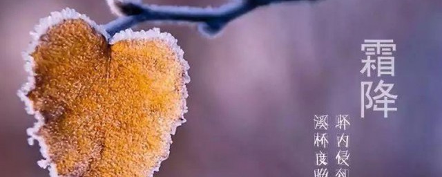 霜降节气的人生寓意 霜降节气的人生道理
