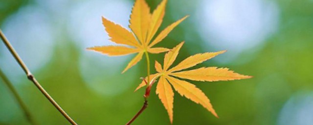 秋分节气简介 秋分节气是什么