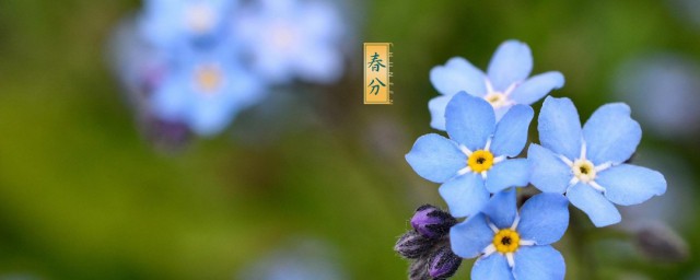 春分节气的人生寓意 春分节气意义