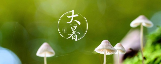 大暑节气的特点和风俗 大暑节气简介