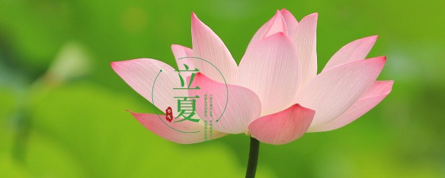 立夏节气推荐语 立夏节气短信祝福语推荐