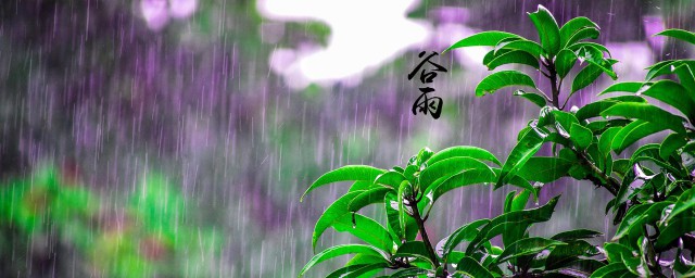 谷雨节气的说说 关于谷雨节气的说说有哪些