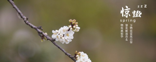 惊蛰节气是什么意思 惊蛰节气的解释