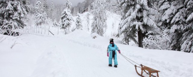 大雪节气吃什么食物 大雪节气食用什么好呢