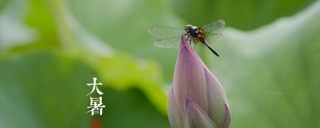 大暑节气吃什么传统食物 大暑节气食用传统食物