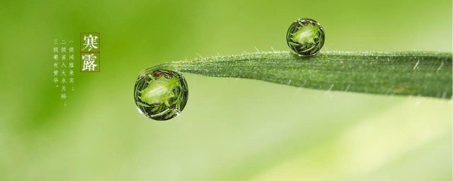 寒露节气的彦语 寒露节气的彦语有哪些