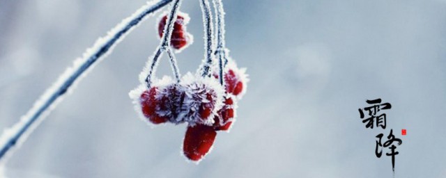 霜降节气是什么意思 霜降节气介绍