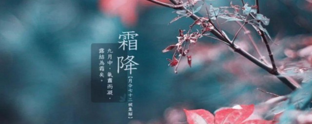 霜降节气吃什么 霜降节气吃什么好