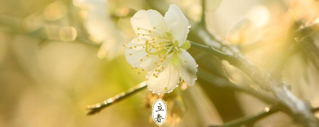 立春节气的含义是什么 立春节气是什么意思