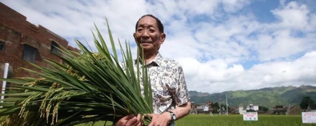 袁隆平是哪里人什么身份 袁隆平的简介