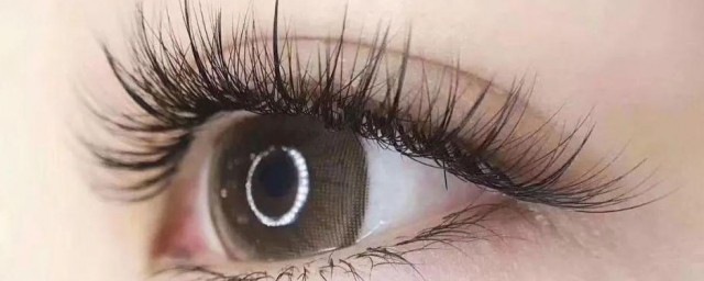 睫毛是怎么种的 睫毛如何种植