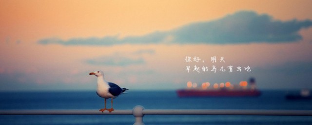 生活短语说说大全 生活短语经典