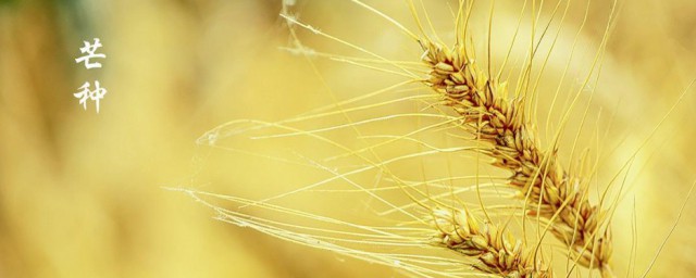 芒种节气谚语 芒种节气谚语有哪些