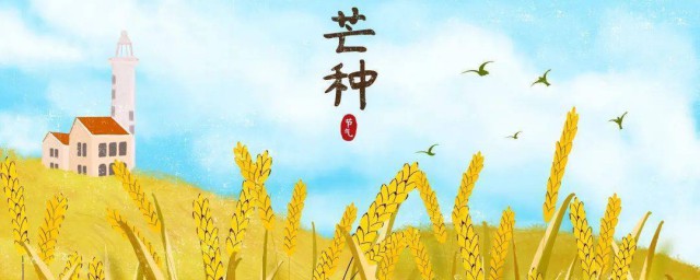 二十四节气芒种的内涵寓意 芒种的内涵寓意为什么煮梅