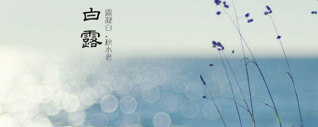 白露节气的风俗食物 不同地方的白露节气食物简介