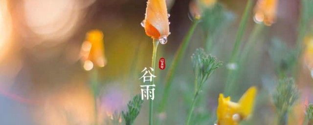 谷雨节气吃什么 谷雨节气吃的传统食物