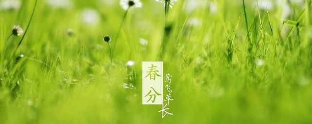 春分节气吃什么传统食物 春分吃的食物简介