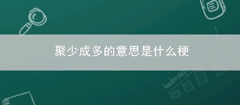 聚少成多的意思是什么梗