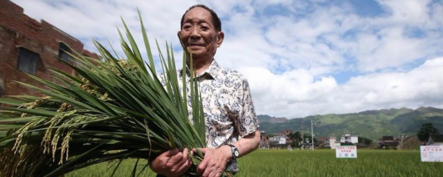 杂交水稻之父袁隆平是哪里人 袁隆平是哪里人