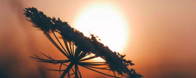 2021六一儿童节最火皮句说说 2021六一儿童节说说