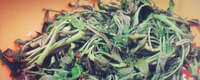 怎样腌春芽 腌春芽的做法
