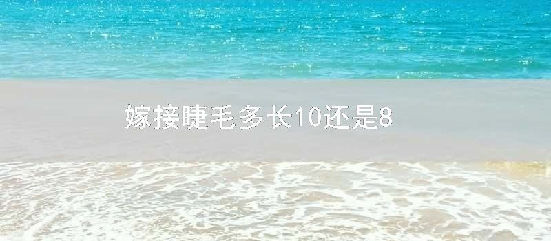 嫁接睫毛多长10还是8